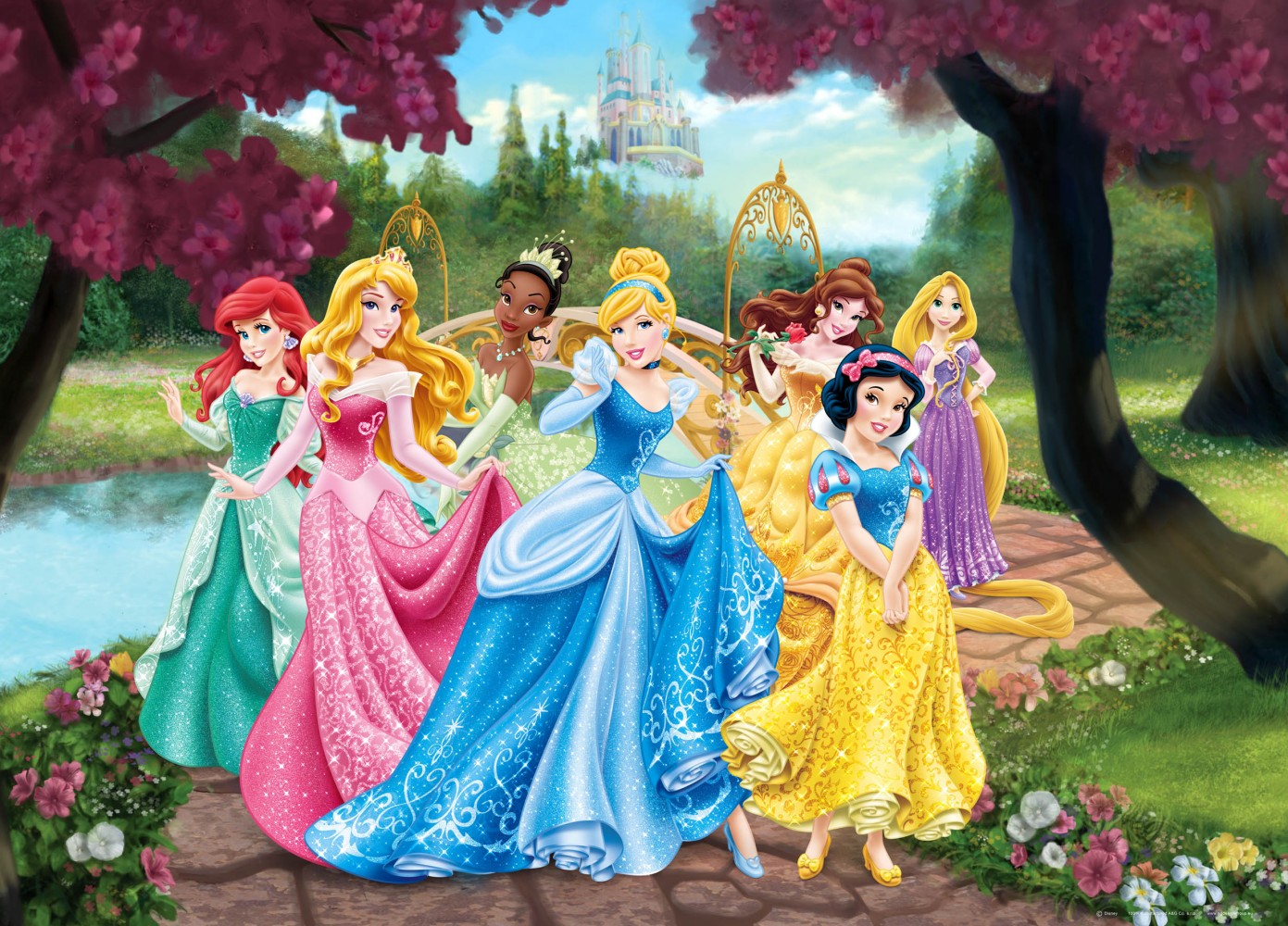 XXL poster wall mural wallpaper Disney princesses princess 